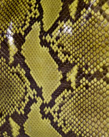 Pythonhaut